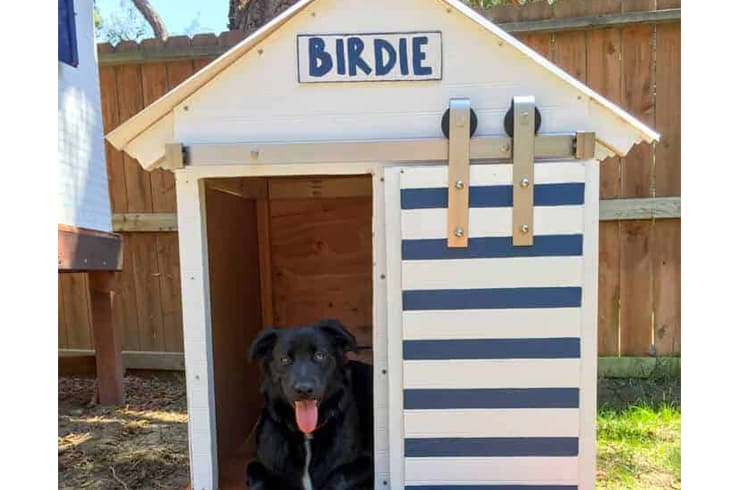 Dog House With Barn Door