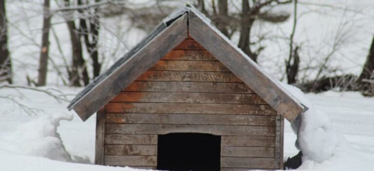 Dog house in the snow