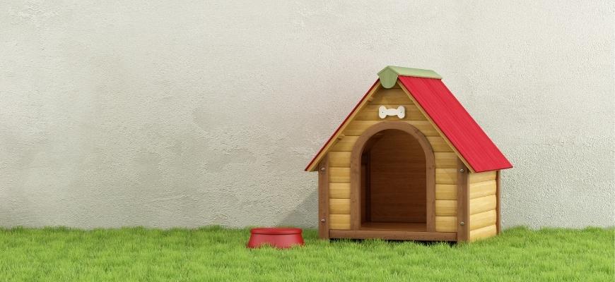 Dogs house in the garden