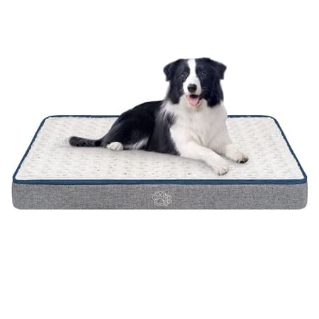 Empsign Waterproof Dog Bed
