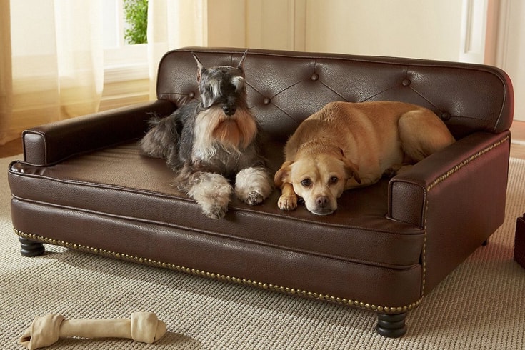 Enchanted Home Pet Library Sofa Cat Dog Bed