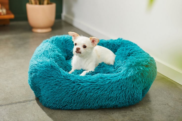 Frisco Eyelash Rectangular Bolster Cat Dog Bed
