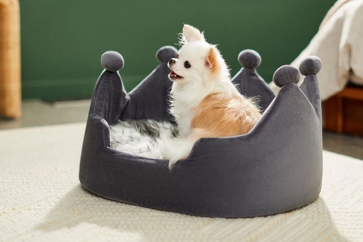 Frisco Faux Fur Crown Pillow Cat Dog Bed