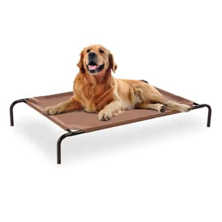 Frisco Steel Framed Elevated Dog Bed