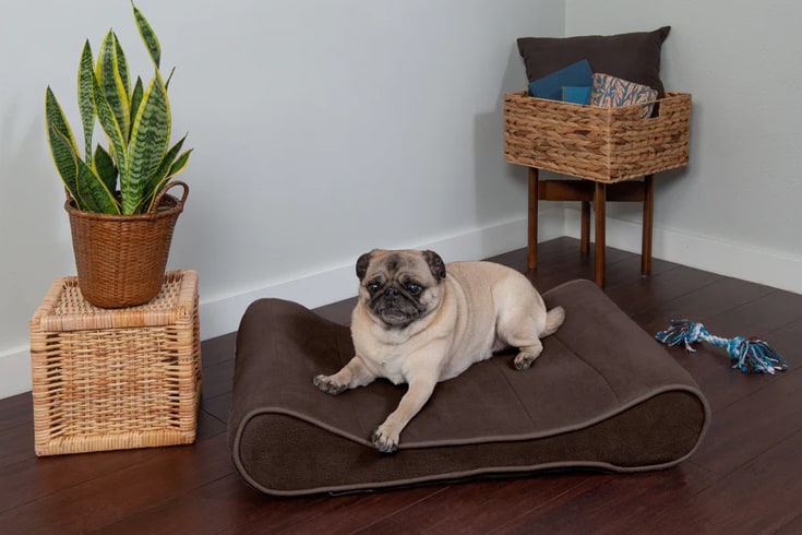 FurHaven Microvelvet Luxe Lounger Pet Bed 1