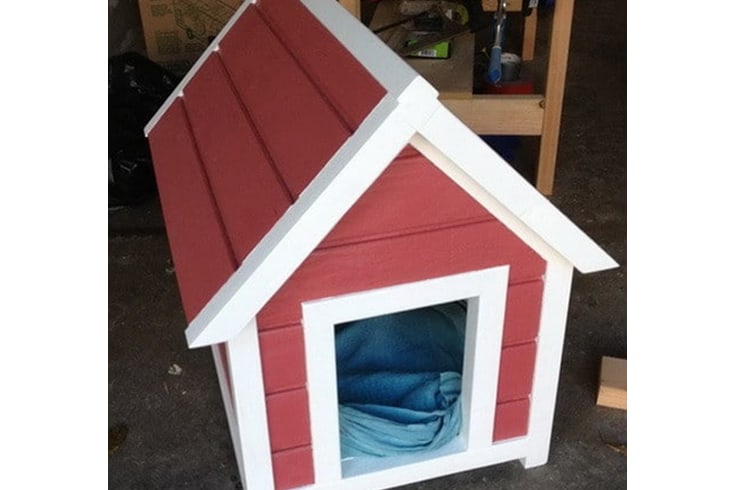 Good Sized Dog House