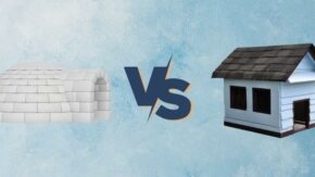 Igloo Vs Wood Dog Houses – Which Is Better?