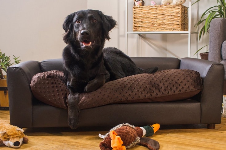 Keet Fluffly Deluxe Sofa Dog Bed