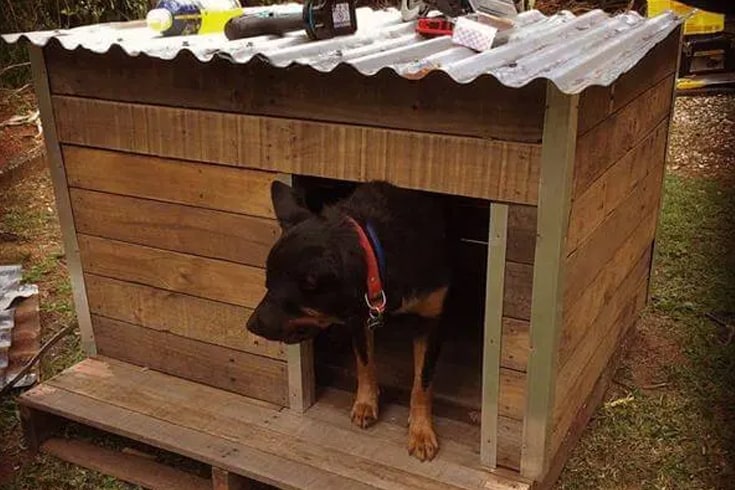 Metal Wood Dog House