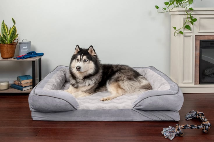 Sofa Dog Bed Velvet Waves Perfect Comfort