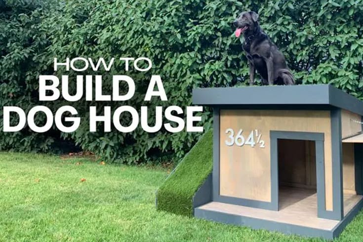 Sturdy Dog House
