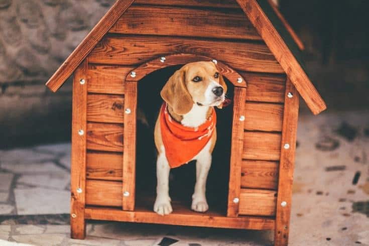 Traditional Outdoor Dog House