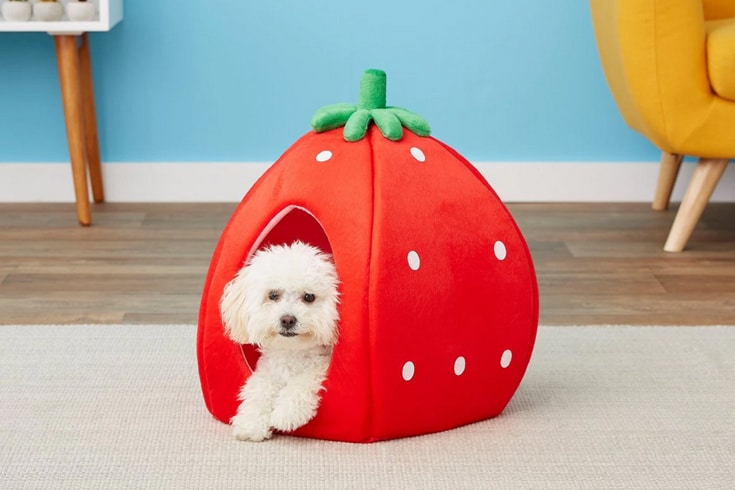 YML Strawberry Covered Cat Dog Bed Small