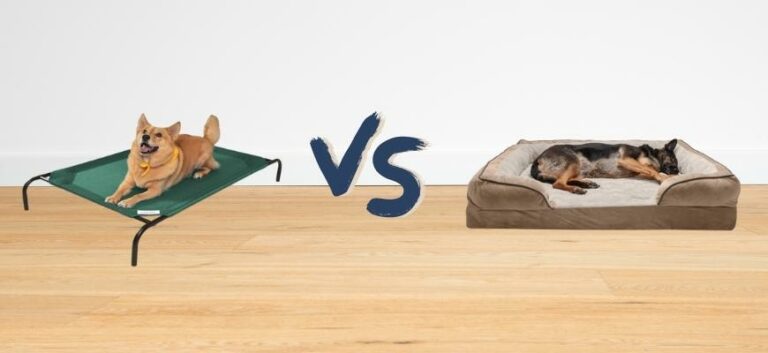 elevated dog bed vs memory foam