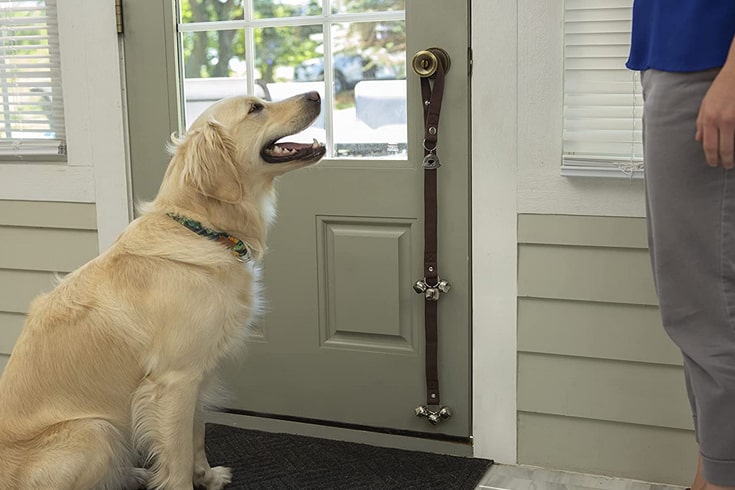 Caldwells Dog Doorbells for Dog Training