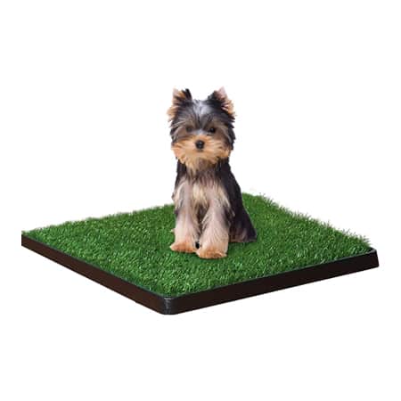 Four Paws Wee Wee Artificial Grass Dog Pee Pad