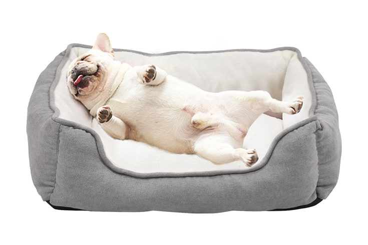 HappyCare Textiles Rectangle Orthopedic Bolster Cat Dog Bed