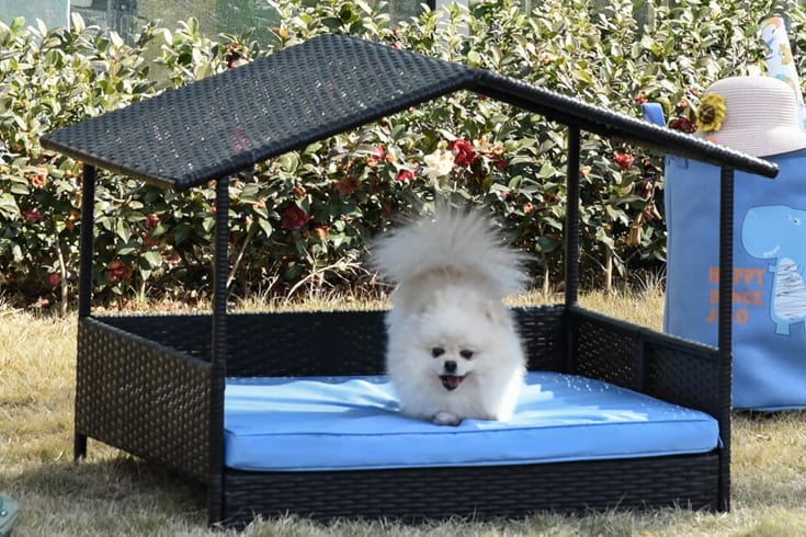 Lollis Outdoor Wicker Cot Dog Bed