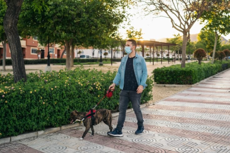 Man in Mask Walking in the Park with His Dog