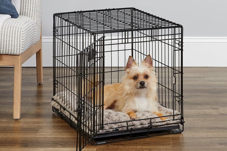 MidWest iCrate Fold Carry Single Door Collapsible Wire Dog Crate