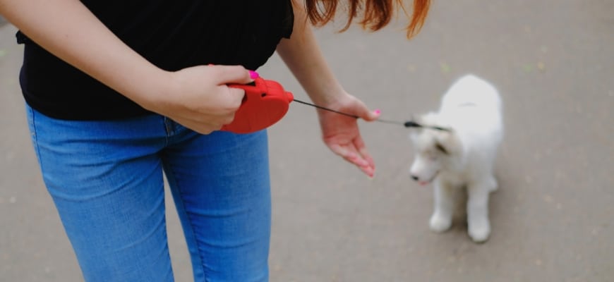 Young girl is fixing the retractable leash on her dog