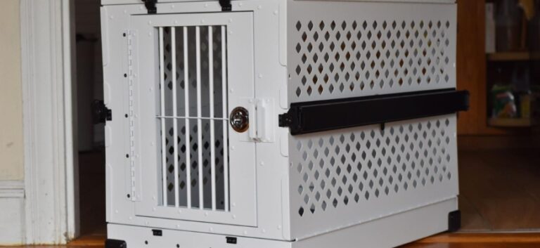 Impact collapsible dog crate review featured image