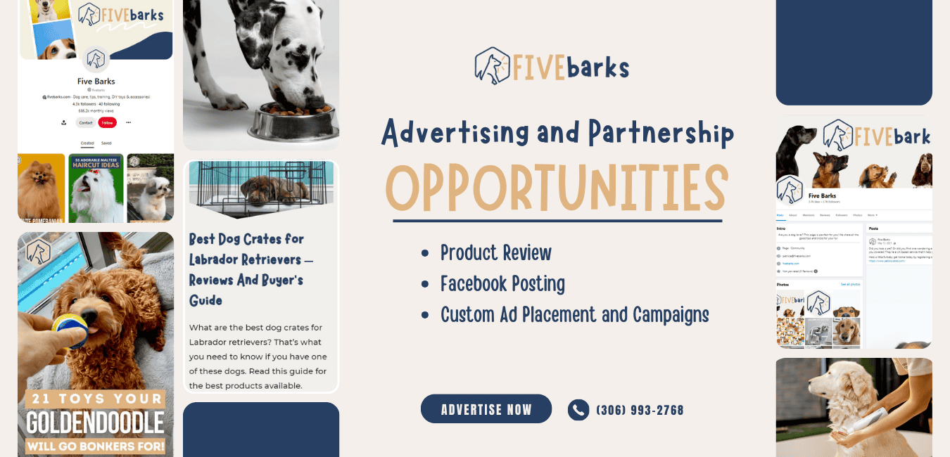 fivebarks opportunities