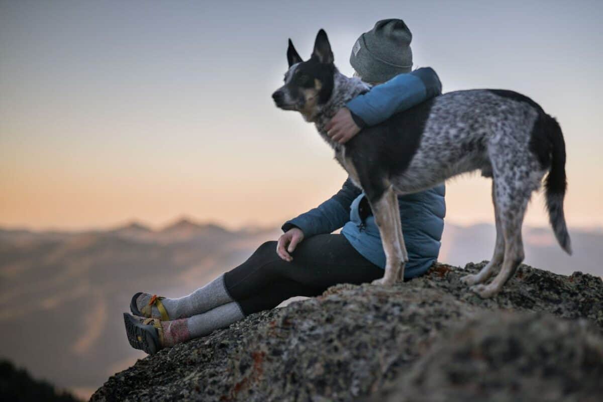 Person Holding Black And White Dog