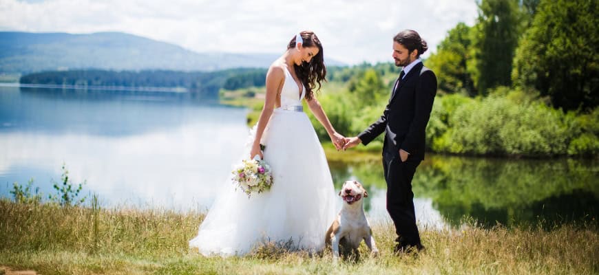 Bride and groom wedding with dog