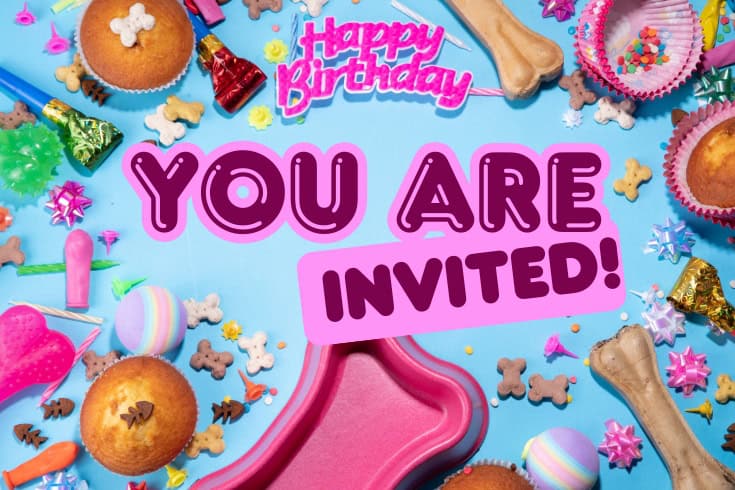 Dog happy birthday background
