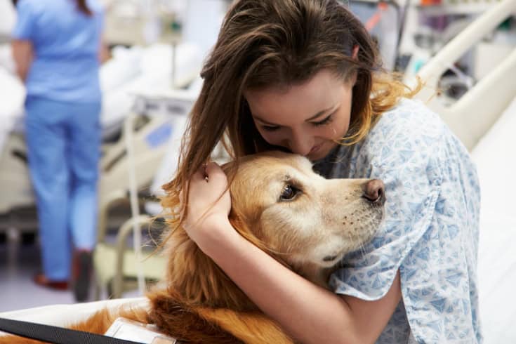 Therapy Dog Visiting woman